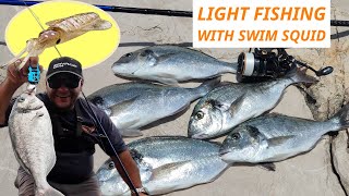 Light Tackle Fishing Adventures 18 I found sea breams and tested the Swim Squid LRF 💣💥🔥 [upl. by Nesyrb]