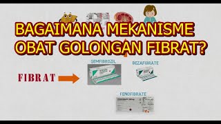 Mekanisme Kerja Fibrat  How to mechanism fibrate OBAT ANTIHIPERLIPIDEMIA [upl. by Yrtneg179]