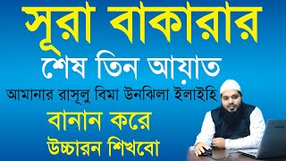 surah baqarah last 3 ayat bangla  সূরা বাকারার শেষ তিন আয়াত বাংলা সহ  sura bakarar ses 2 ayat [upl. by Dailey37]