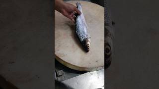 Giant Milk Fish Fast Cutting Skillsshorts [upl. by Mulcahy534]