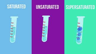 Saturated  Unsaturated and Supersaturated Solutions What is the difference [upl. by Hachmin289]