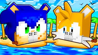 Sonic vs Tails HOUSE in Minecraft [upl. by Leifeste]