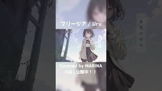 フリージアFreesia  Uru Covered by MARINA 『機動戦士ガンダム 鉄血のオルフェンズ』ED shorts [upl. by Nyrtak]