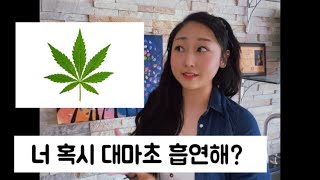 마약 💊 과 캐나다 🇨🇦 학교 feat 대마초 🌿 [upl. by Mcferren]