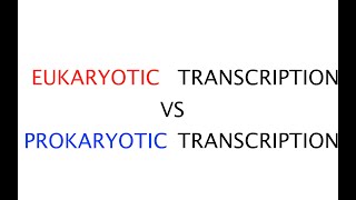 Eukaryotic transcription vs Prokaryotic transcription 41 [upl. by Eiclehc]