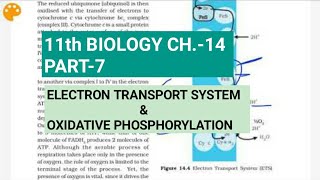 Class 11 BiologyCh14 Part7ETS amp oxidative phosphorylationStudy with Farru [upl. by Agem417]