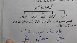 Class 10 urdu fail maroof fail majhool fail lazim fail mutadi Nawa e urdu ncert [upl. by Ekal572]