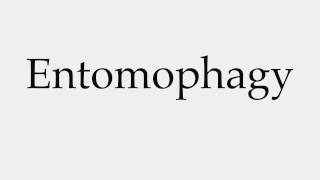 How to Pronounce Entomophagy [upl. by Ayotl]