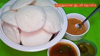 மிருதுவான இட்லி தோசைக்கு மாவு அரைக்கும்amp இட்லி அவிக்கும் முறைPerfect Batter for Soft IdliampDosa [upl. by Uot]