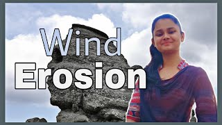 Wind Erosion in Hindi  What is Wind Erosion [upl. by Noivaz]