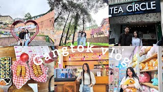 Exploring 📍Gangtok restaurants food🍝🍔ftelisharai5 sikkimvlogs yvonnerai8932 Vlog22 [upl. by Nnaeirrac]