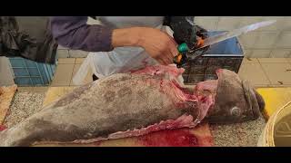 Whole Hamour Fish Filleting Amazing Ways Hamour Fish Cutting Skill Hamour Fish Chopping for Recipe [upl. by Keenan]