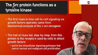 27 The Src protein [upl. by Christmann]