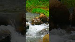 Relaxing Waterfall Sounds waterfulsounds waterfall calming [upl. by Becket]