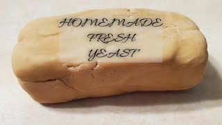 homemade fresh yeast from dry yeast Never buy yeast again [upl. by Ten]