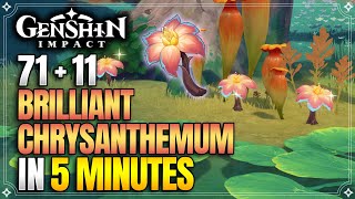 Brilliant Chrysanthemum Locations  Fast and Efficient  Xilonen Ascension Materials【Genshin Impact】 [upl. by Eugor]