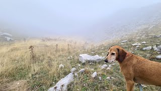 Sulle traccie di un passato che non tornerà mai più⛰️🥾🚶‍♂️🐕⌛️⏳️ ☆ from 27 giugno 2023☆ [upl. by Fusco]