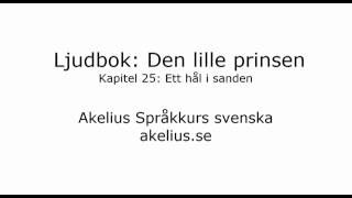 Ljudbok Den lille prinsen kapitel 25 Ett hål i sanden [upl. by Skip]