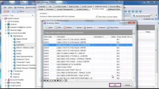 Sage Evolution Accounts Receivable Overview [upl. by Wahkuna862]