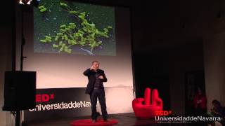 El asombroso mundo de lo invisible Ignacio LópezGoñi at TEDxUniversidaddeNavarra [upl. by Meggy]