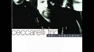 Ceccarelli Trio  Dreaming quotHat snatcherquot [upl. by Ludlew]