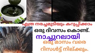 ഒരു ദിവസം കൊണ്ട് ഒരു മാസം വരെ റിസൾട്ട് കിട്ടുന്ന നാച്ചുറൽ ഹെയർ ഡൈ  OrganLife  Natural hair dye [upl. by Nosille]