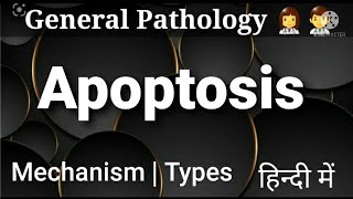 Apoptosis in hindi  Mechanism  Types  Morphology  general pathology notes  pathology lectures [upl. by Licec]