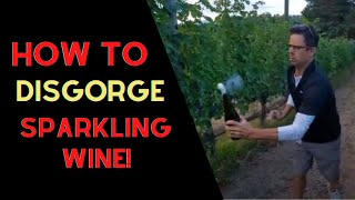 How to Disgorge a Sparkling Wine  Wine on Lees Disgorged at Home [upl. by Jillane]