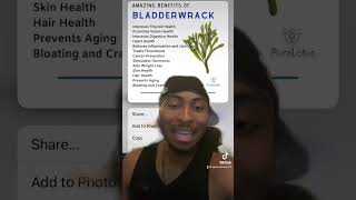 Benefits Of Bladderwrack 😏🌿✨ [upl. by Nilad761]