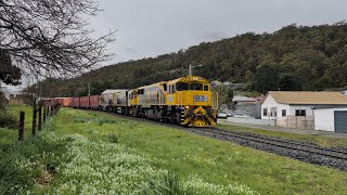 TasRail 2053 TR13 TR11 36 train crossing Smith Street Wivenhoe [upl. by Sheffie]