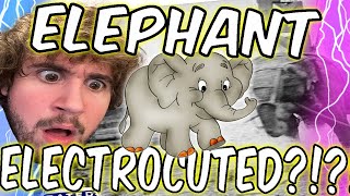 ELEPHANT ELECTROCUTED  Maxx Reacts YOU WONT BELIEVE YOUR EYES [upl. by Obala614]