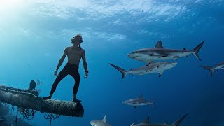 Sharks amp Shipwrecks  Freediving The Bahamas [upl. by Sloatman]