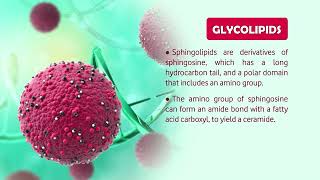 LIPIDS Structure Properties amp applications [upl. by Notsnorb]