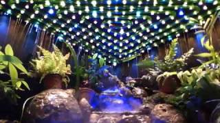 Waterfall Paludarium  LEDs amp Rain Tests [upl. by Tisdale]