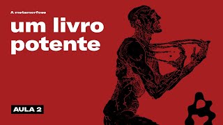 O livro que vai te TRANSFORMAR para sempre  A metamorfose de Franz Kafka parte 2 [upl. by Nybbor]