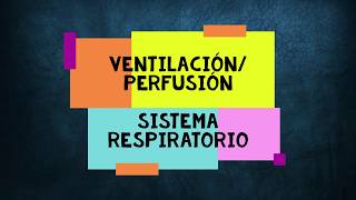 Ventilación y Perfusión Sistema Respiratorio [upl. by Effie]