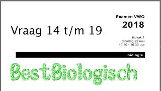 Biologie examen VWO 2018 1e tijdvak vraag 14 tm 19 [upl. by Sualocin]