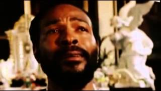 Marvin Gaye The Final Years [upl. by Yllime]