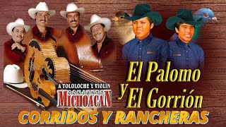 Conjunto Michoacan El Palomo y El Gorrion Las 30 Mejores Corridos y Rancheras Inolvidables Exitos [upl. by Lissi]