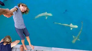 TRUST FALL with SHARKS in the Maldives  Manillas 7 yr old Birthday [upl. by Hollister]