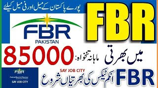 FBR Jobs 2024  FBR Career 2024FBR Vacancies 2024Federal Board of Revenue Jobs 2024FBR Jobs Apply [upl. by Anniken]