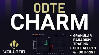 0DTE Charm  Paradigms Trading Deep Dive  Dealer Positioning  Footprint  Actionable Volland Data [upl. by Adekam]