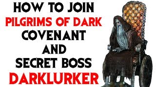 Dark Souls 2 How to Join Pilgrims of Dark Covenant and Find Secret Darklurker Boss [upl. by Adekan]