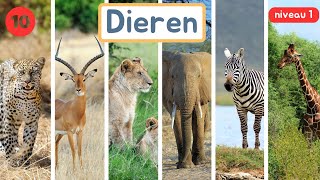 Thema 10  Dieren  Woordenschat  Niveau 1 [upl. by Lled]