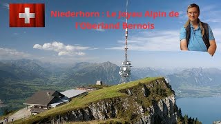 Niederhorn  Le Joyau Alpin de lOberland Bernois [upl. by Sorazal63]