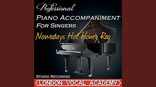 Nowadays Hot Honey Rag Chicago Piano Accompaniment Professional Karaoke Backing Track [upl. by Ennylhsa771]