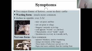 Bovine Ketosis by Dr Ajeet Kumar Dept of Biochemistry BVC Patna [upl. by Adnuhs719]