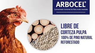 ARBOCEL Concentrado de Fibra Cruda Insoluble [upl. by Netsirhk]