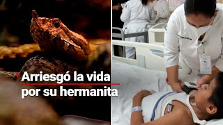 ¡Héroe Niño arriesga su vida para salvar a su hermana de serpiente venenosa y pierde una pierna [upl. by Prosper]