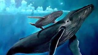 la ballena azul Video1mov [upl. by Nerral706]